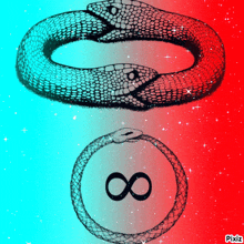 a drawing of two snakes with an infinity symbol in the middle