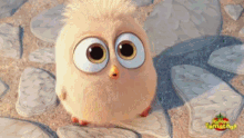 Angry Birds Big Eyes GIF - Angry Birds Big Eyes Tongue Out GIFs