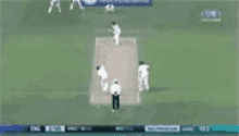 Ashes Cricket GIF