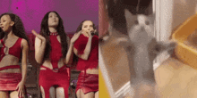 a group of women in red dresses are dancing next to a cat in a litter box