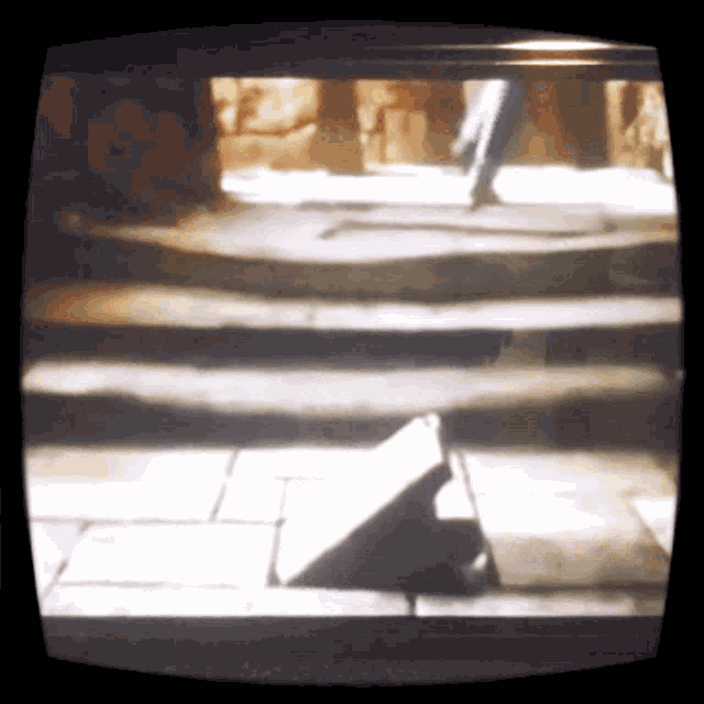 labyrinth-monkey.gif