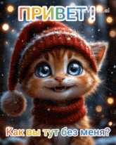 a picture of a cat wearing a santa hat and scarf with russian text