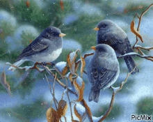 Birds Snow GIF - Birds Snow Tree GIFs