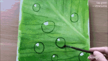a person is painting a green leaf with water drops on it ..