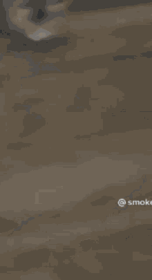a close up of a person 's face with the word smoke in the lower right corner
