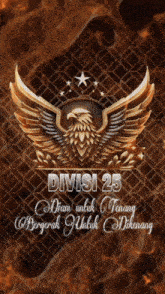 a picture of an eagle with the words divisi 25 on it