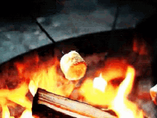 camping fire smores marshmallow %E3%82%AD%E3%83%A3%E3%83%B3%E3%83%97%E3%83%95%E3%82%A1%E3%82%A4%E3%83%A4%E3%83%BC