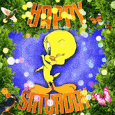 Happy Saturday GIF - Happy Saturday GIFs