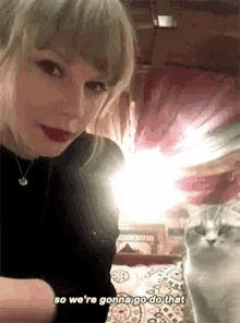 Taylor Swift Cat GIF - Taylor Swift Cat Pet GIFs