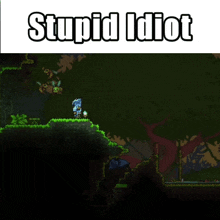 Terraria Stupid Idiot GIF