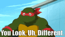tmnt raphael you look different looking different you dont look the same