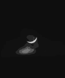 Good Night Moon And Cat GIF