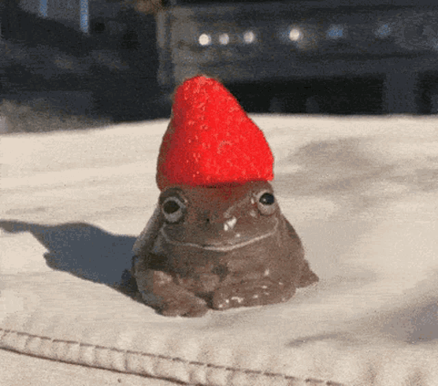 frog-cute.gif