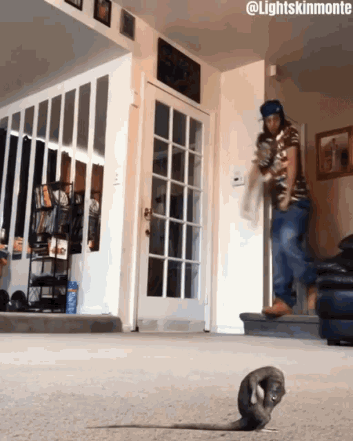 Ohhh Shit A Rat Dance GIF - Ohhh Shit A Rat Dance Oh Shit A Rat - Discover  & Share GIFs