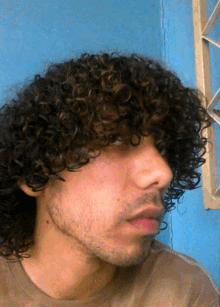 Curly Hair Hows My Hair GIF - Curly Hair Hows My Hair Serious Look GIFs