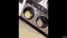 Anime Washing Machine GIF - Anime Washing Machine Rolling GIFs
