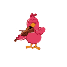 classical galinha