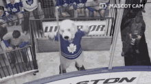 Toronto Maple Leafs Carlton The Bear GIF - Toronto Maple Leafs Carlton The Bear Mascot GIFs