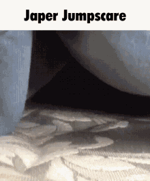 Japer Jumpscare GIF - Japer Jumpscare Cat GIFs