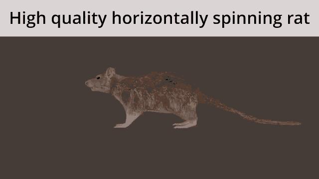 High Quality Horizontally Spinning Rat Spinning Rat 