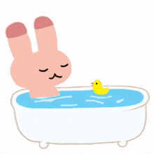 animal bunny rabbit cute bath