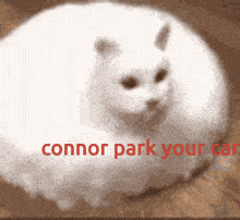 Connor Park Car Yes Your GIF - Connor Park Car Yes Connor Park Connor GIFs