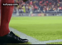 Euro Cup Final Actions.Gif GIF - Euro Cup Final Actions Trending Football GIFs
