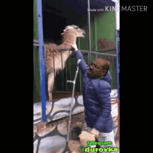 Animal Spit Spat On GIF - Animal Spit Spat On Dont Touch Me GIFs