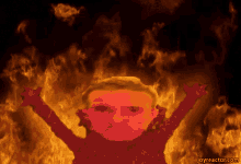 Fire Meme GIF - Fire Meme Gall GIFs