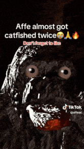 a picture of a catfish with the caption affe almost got catfished twice don t forget to like