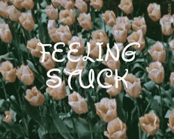 Feeling Stuck Stuck GIF - Feeling Stuck Stuck Flowers GIFs