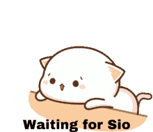 sio waiting cat