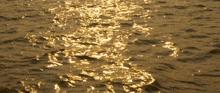 a close up of a body of water with the sun reflecting off of it
