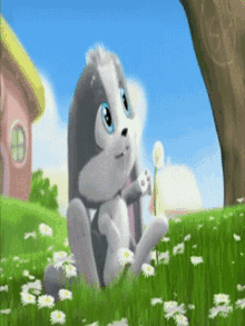 bunny cute