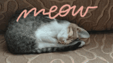 Sleepy Cat GIF - Sleepy Cat Meow GIFs