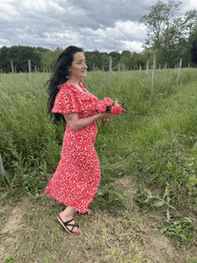 a woman in a red dress is holding pink flowers in a field