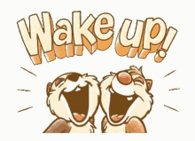 Wake Up Squirrel GIF - Wake Up Squirrel Cute GIFs