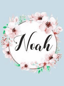 Noah GIF - Noah GIFs