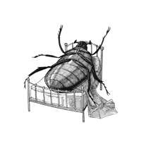 a black and white drawing of a beetle laying on a bed