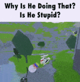 why is he doing that is he stupid written above a video game