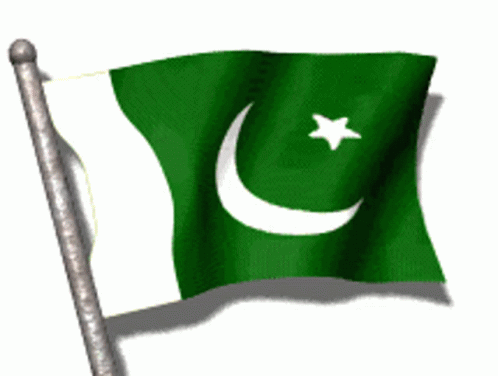Pakistani Flag GIF - Pakistani Flag - Discover & Share GIFs