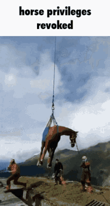 Horse Privileges Revoked Helicopter GIF
