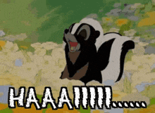 a cartoon skunk is standing in a field of flowers with the words `` haaa !!! '' written below it .