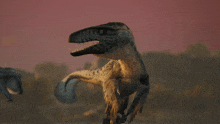 a close up of a dinosaur 's head with a red sky in the background