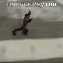 Running Monkey GIF