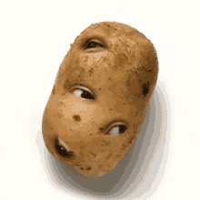 Got My Eyes On You Potato GIF