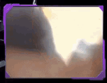 a close up of a person 's face in a purple frame on a computer screen .