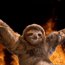 Sloth Sloths Rise GIF - Sloth Sloths Rise GIFs