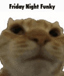 Fnf Dancing Cat GIF