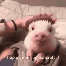 Non Slip Pan Non Slip Pancraft GIF - Non Slip Pan Non Slip Pancraft Piggy GIFs